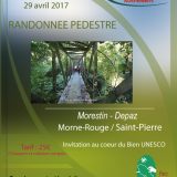 Invitation randonnée Morne-Rouge/Saint-Pierre