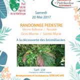 Invitation randonnée Gros-Morne/Sainte-Marie