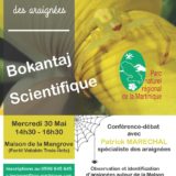 Bokantaj scientifique : à la découverte des araignées de Martinique