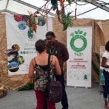 Label ZERO CHLORDECONE : Appel à candidatures des agriculteurs