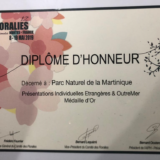 Médaille d’Or ET Prix du Public pour la Martinique aux Floralies Internationales de Nantes