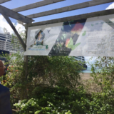 Le grand port maritime et le monde économique mobilisés pour la Candidature de la Martinique au Patrimoine Mondial de l' UNESCO