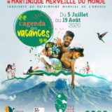 Le programme du Festival 3M