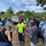 Le Café : une filière d’excellence à la Martinique