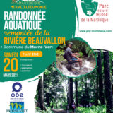 Randonnée Aquatique au Morne Vert