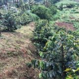 Appel à candidature pour un.e technicien.ne agricole