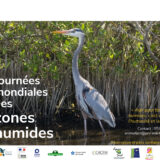 Journée Mondiale des zones humides, un rendez-vous à ne pas manquer!