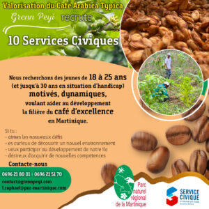 Recrutement 10 service civique récolte de Café d'excellence