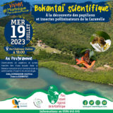 Bokantaj’ scientifique « À la découverte des papillons et insectes pollinisateurs de la Caravelle »