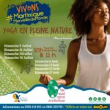 Yoga en Pleine Nature au Domaine D'Émeraude