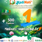 MadiNati, 1 an ça se fête