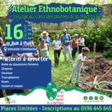 Les Ateliers Ethnobotaniques Reprennent au Domaine d’Emeraude !