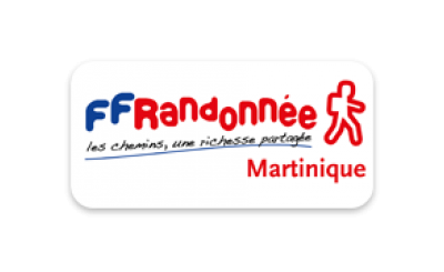 logo_cd972
