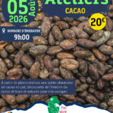 Activités du 05 août 2026