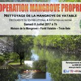 Opération Mangrove propre