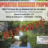 Report Opération Mangrove propre