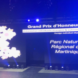 Un Grand Prix d'Honneur pour la Martinique aux 12emes Floralies Internationales de Nantes