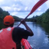 Balade en Kayak commentée et gratuite sur la rivière pilote