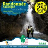 Randonnée PNRM à la cascade Dany, un trésor naturel peu connu de Martinique
